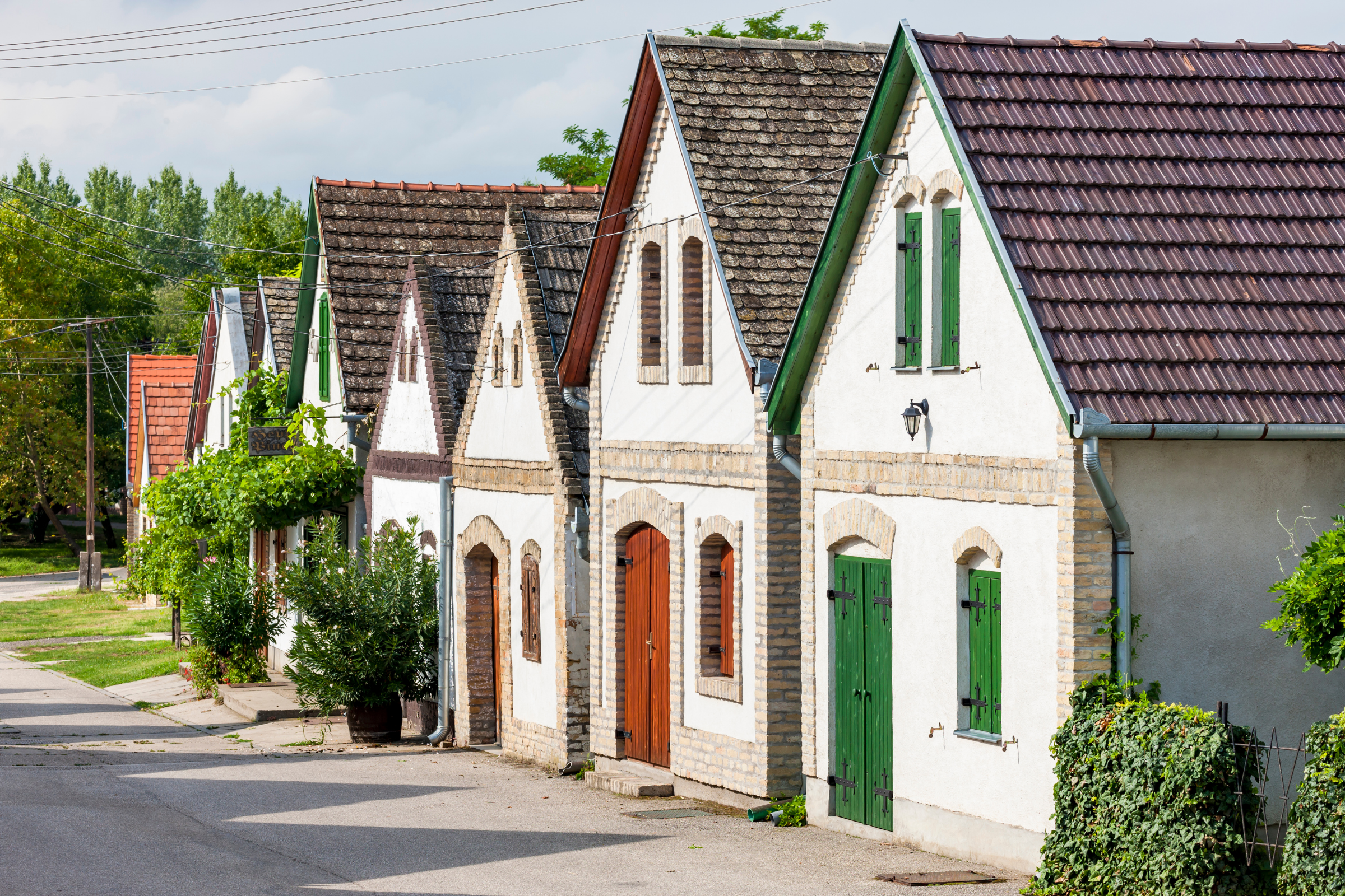 191 kalocsa.webp